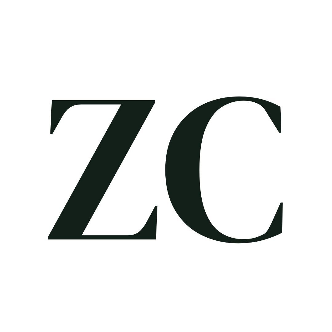 Zhu Consulting logo